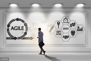 为什么一旦创业，就很难再回到公司去上班？以软件外包服务为例