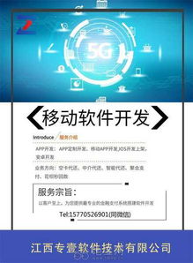 江西企业如何高效搭建专壹支付系统 软件外包服务指南