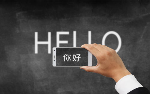 邯郸软件定制开发与外包服务 以万帮为例的行业洞察